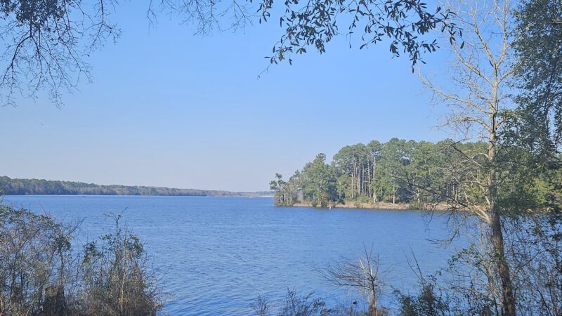 Frank Jackson State Park - Opp, AL