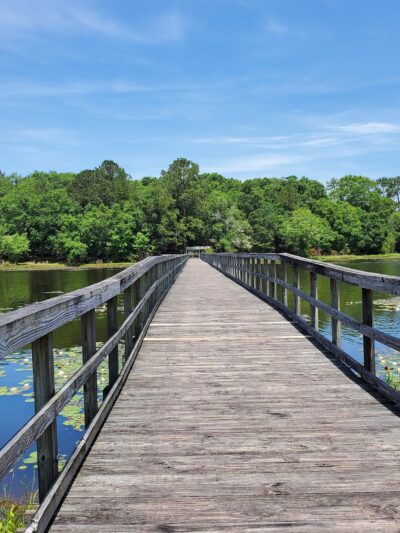 Frank Jackson State Park - Opp, AL