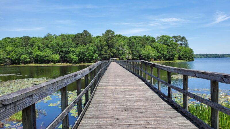 Frank Jackson State Park - Opp, AL