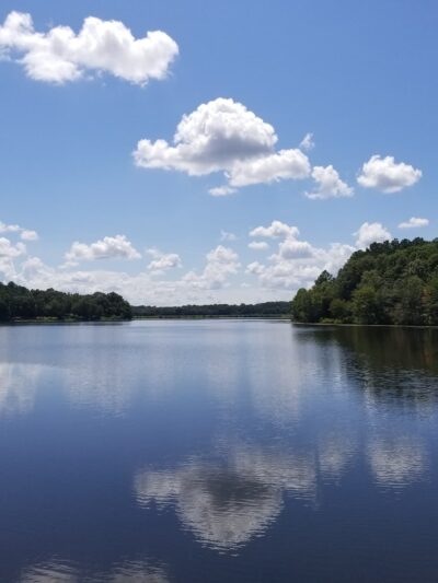 Frank Jackson State Park - Opp, AL