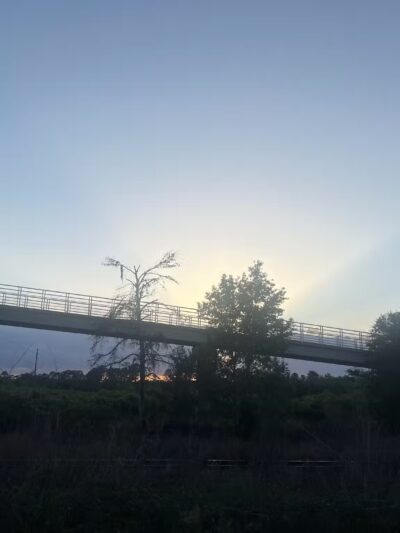 Spring to Spring Trail, Blue Spring Trailhead - Orange City, FL