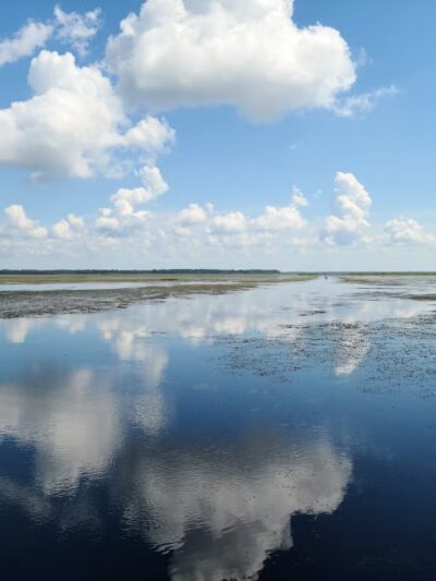 Heagy-Burry Park - Orange Lake, FL