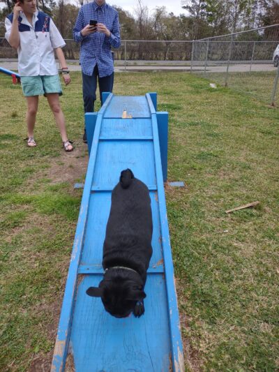 Pawhurst dog park - Orange, TX