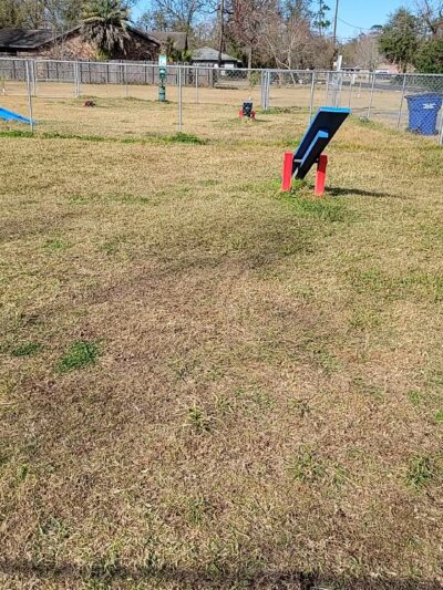 Pawhurst dog park - Orange, TX