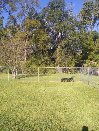 Pawhurst dog park - Orange, TX