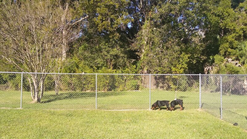 Pawhurst dog park - Orange, TX
