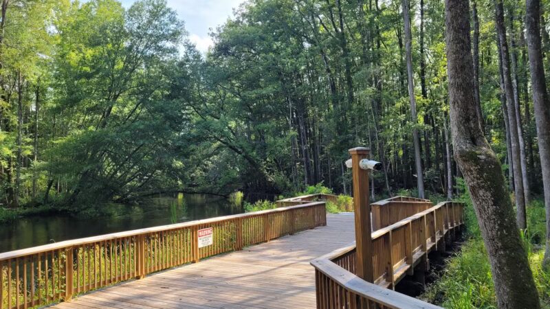 Lake Edisto Park - Orangeburg, SC