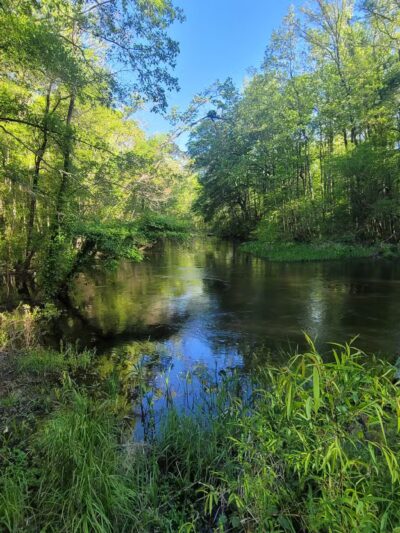 Lake Edisto Park - Orangeburg, SC