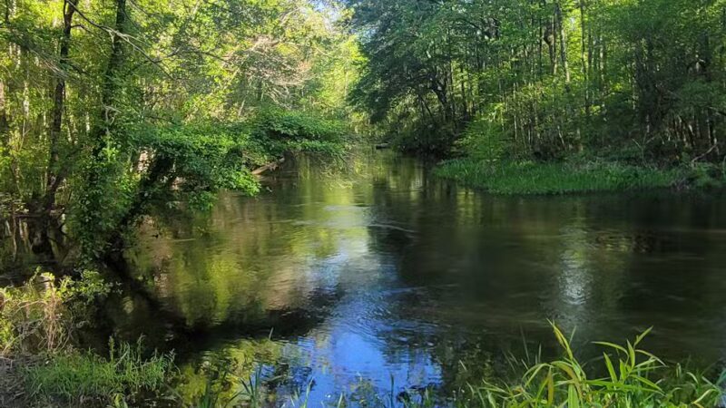 Lake Edisto Park - Orangeburg, SC