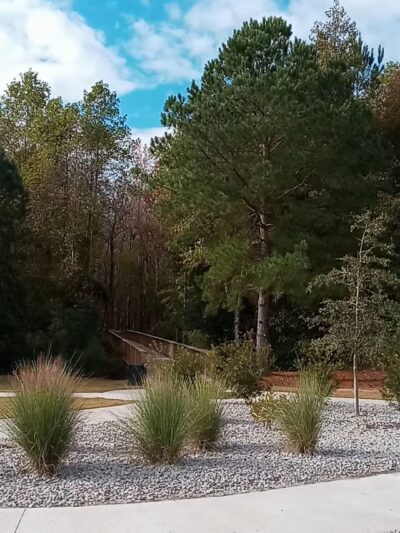 Lake Edisto Park - Orangeburg, SC