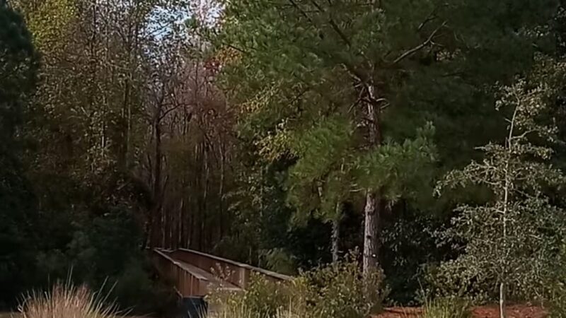 Lake Edisto Park - Orangeburg, SC