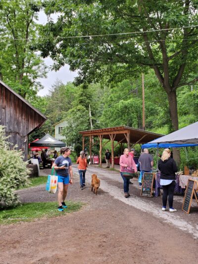 Forks Farm & Market - Orangeville, PA