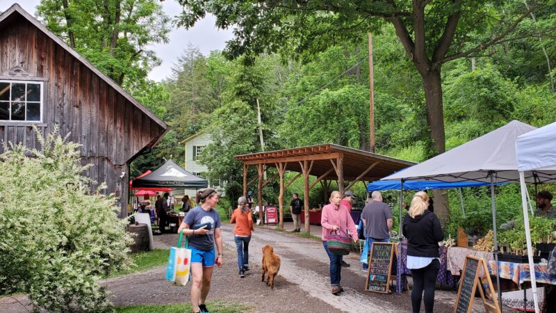 Forks Farm & Market - Orangeville, PA