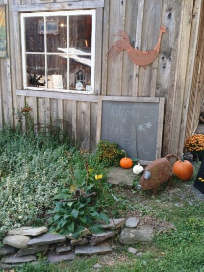 Forks Farm & Market - Orangeville, PA