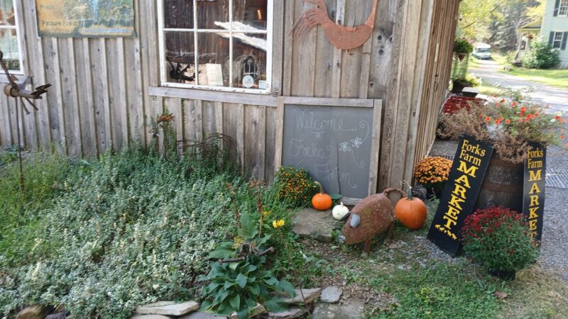 Forks Farm & Market - Orangeville, PA