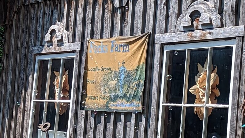 Forks Farm & Market - Orangeville, PA