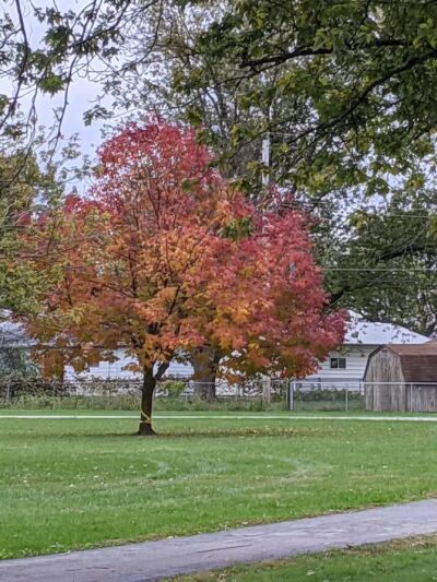 Oreana Park - Oreana, IL