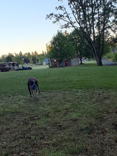 Oregon City Park Place - Oregon City, OR