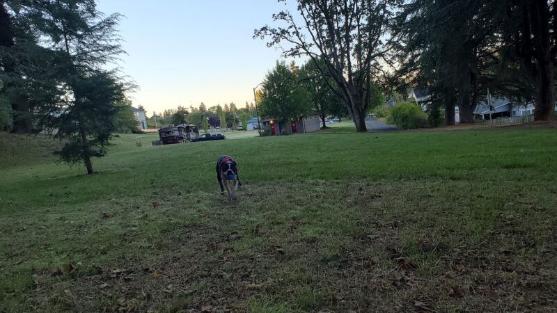 Oregon City Park Place - Oregon City, OR