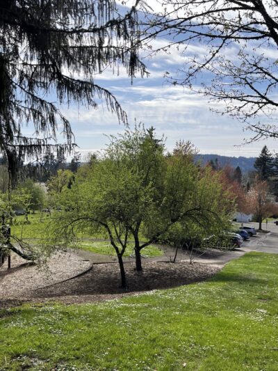 Oregon City Park Place - Oregon City, OR