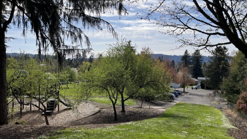 Oregon City Park Place - Oregon City, OR