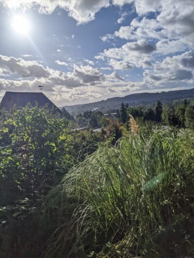 Oregon City Park Place - Oregon City, OR