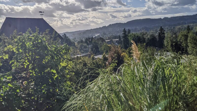 Oregon City Park Place - Oregon City, OR