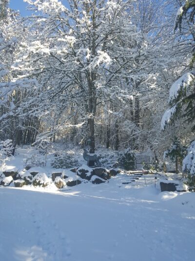 Oregon City Park Place - Oregon City, OR