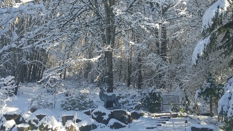 Oregon City Park Place - Oregon City, OR