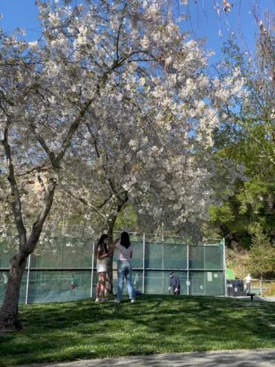 Orinda Community Park - Orinda, CA