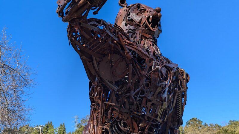 Orinda Community Park - Orinda, CA