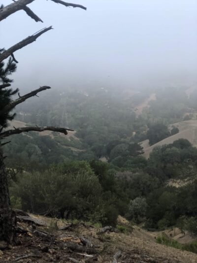 Orinda Oaks Open Space, Donald Drive Entrance - Orinda, CA