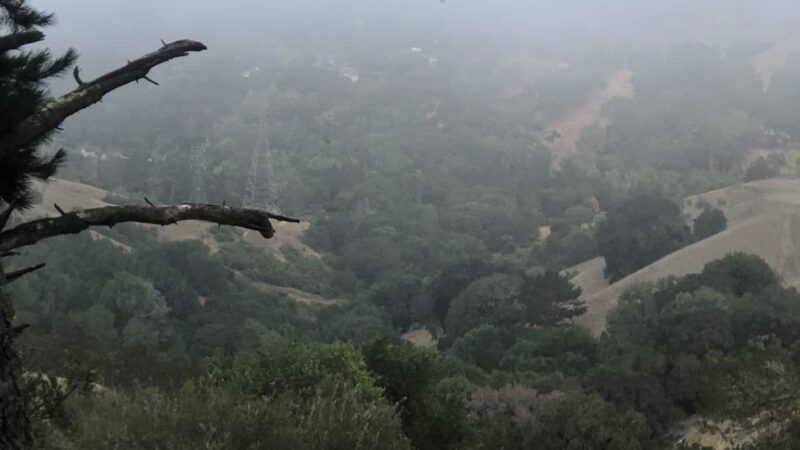 Orinda Oaks Open Space, Donald Drive Entrance - Orinda, CA