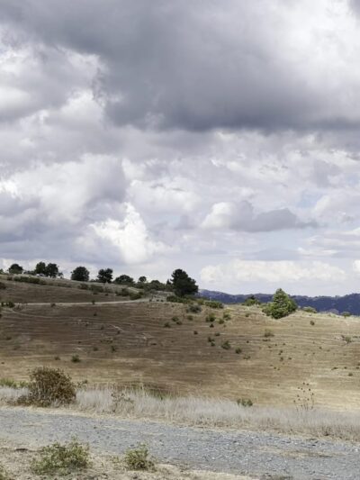 Orinda Oaks Open Space, Donald Drive Entrance - Orinda, CA
