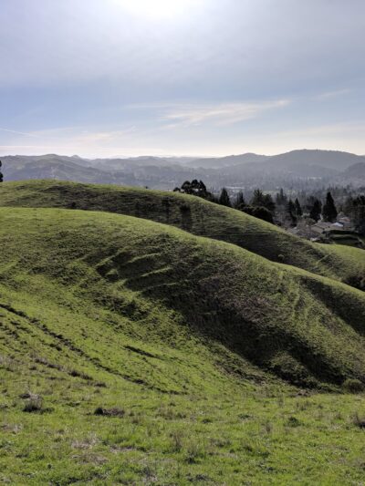 Orinda Oaks Park - Orinda, CA