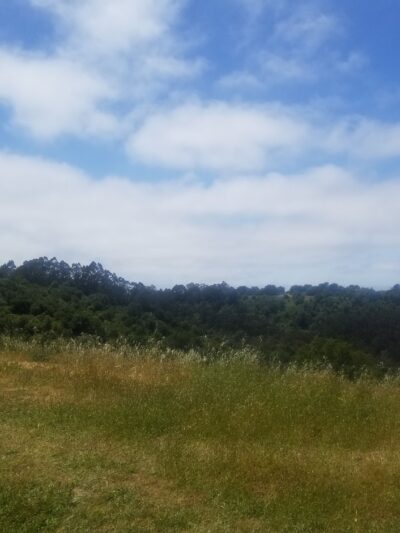 Quarry Trail Bench - Orinda, CA