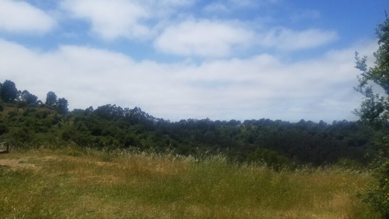 Quarry Trail Bench - Orinda, CA
