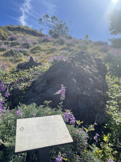 Quarry Trail Bench - Orinda, CA