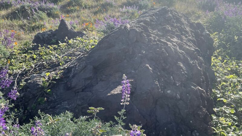 Quarry Trail Bench - Orinda, CA