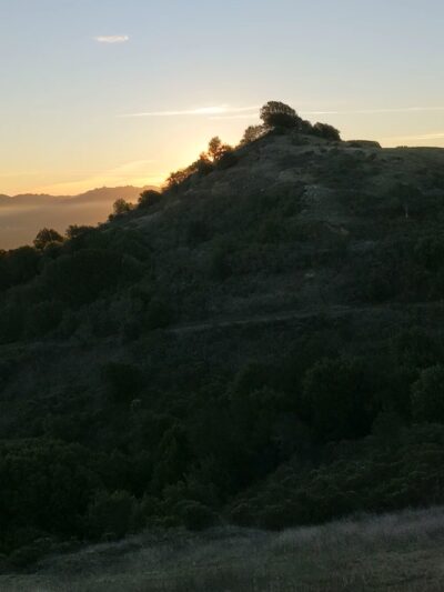 Quarry Trail Bench - Orinda, CA