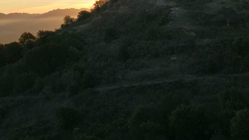 Quarry Trail Bench - Orinda, CA
