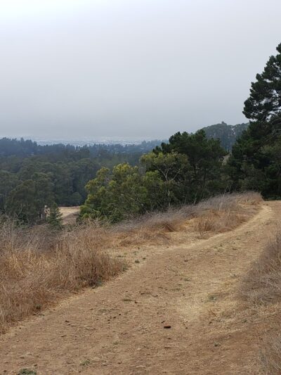 Seaview Trail - Orinda, CA