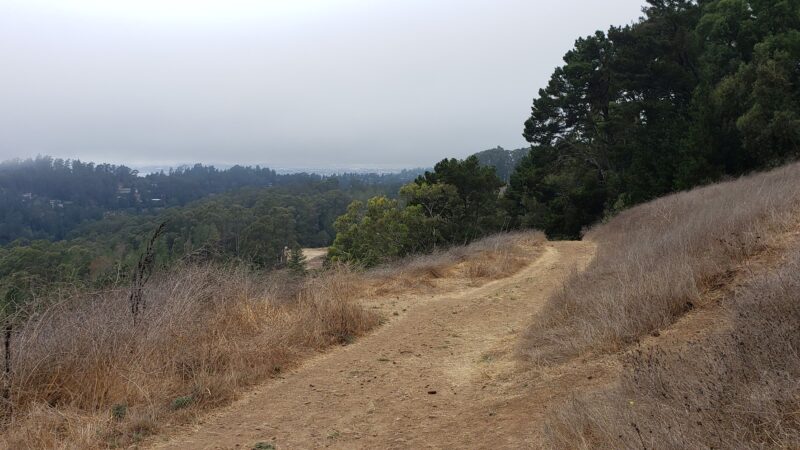 Seaview Trail - Orinda, CA