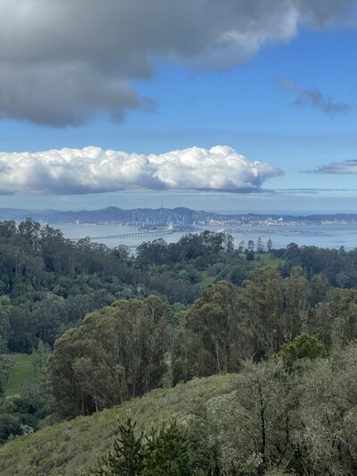 Seaview Trail - Orinda, CA