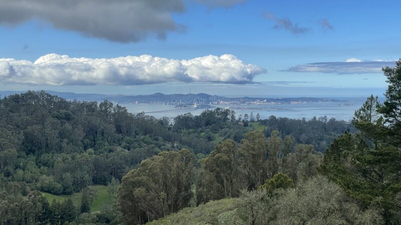 Seaview Trail - Orinda, CA