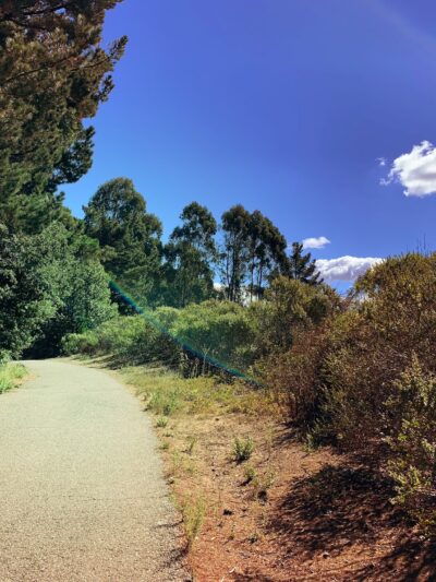 Seaview Trailhead - Orinda, CA