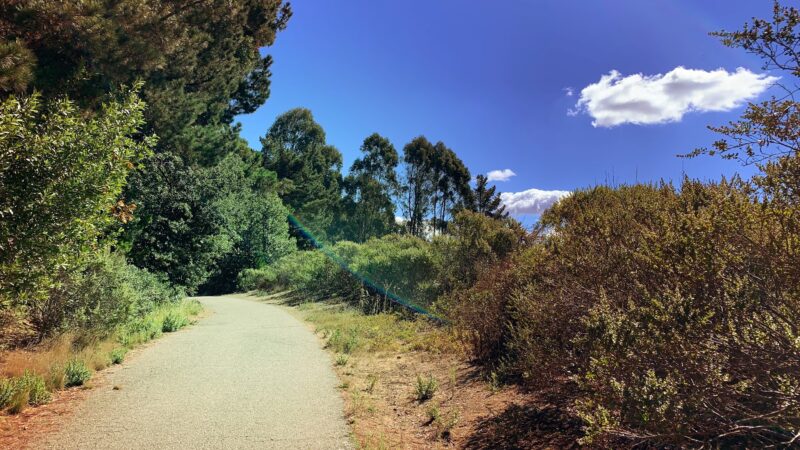Seaview Trailhead - Orinda, CA