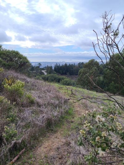 Seaview Trailhead - Orinda, CA