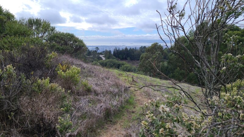 Seaview Trailhead - Orinda, CA