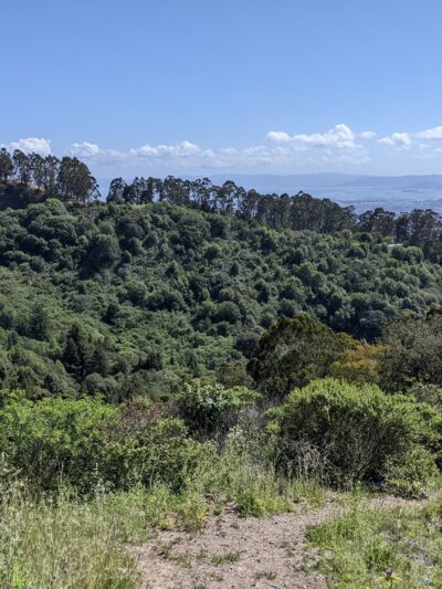 Siesta Valley Recreation Area - Orinda, CA